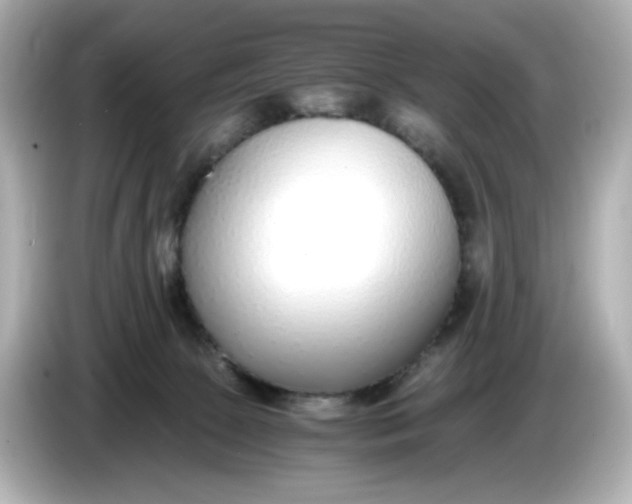 X0000086010081200704091103