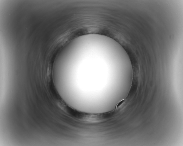 X0000086010082200704091103
