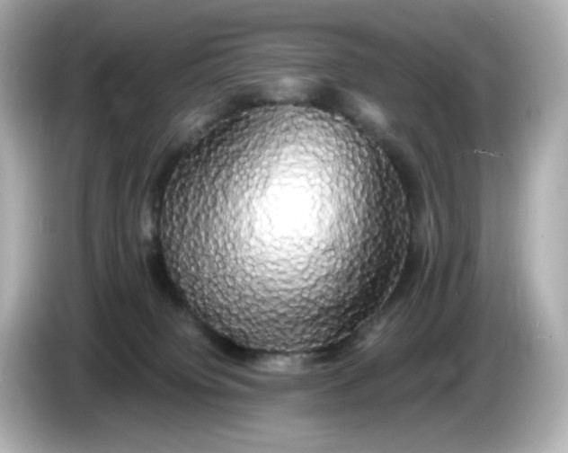 X0000086010084200704091103