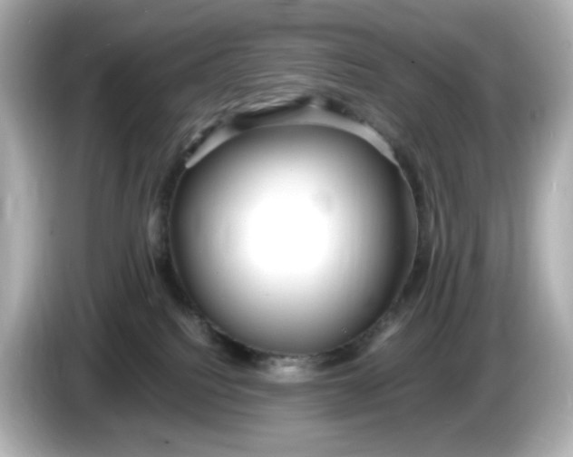 X0000086010088200704091103