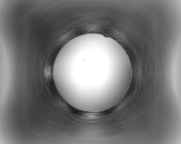 X0000086010089200704091103