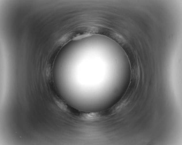 X0000086010092200704091103