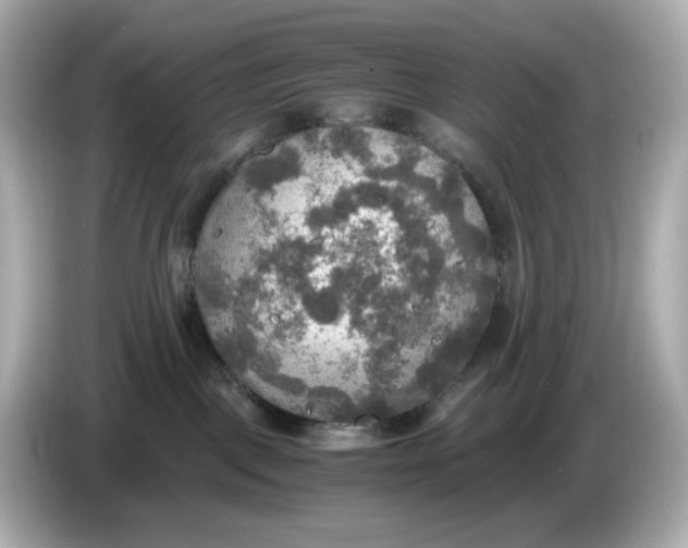 X0000086010093200704091103