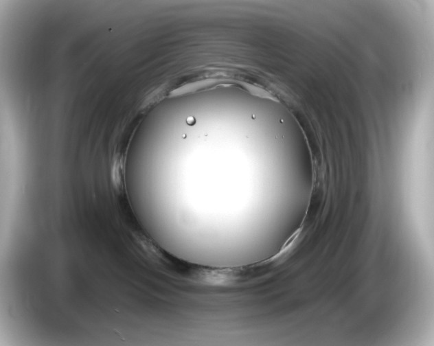 X0000086010094200704091103