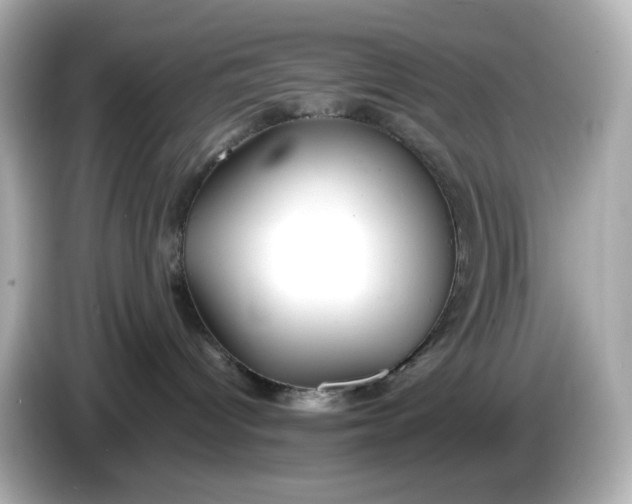 X0000086010096200704091103