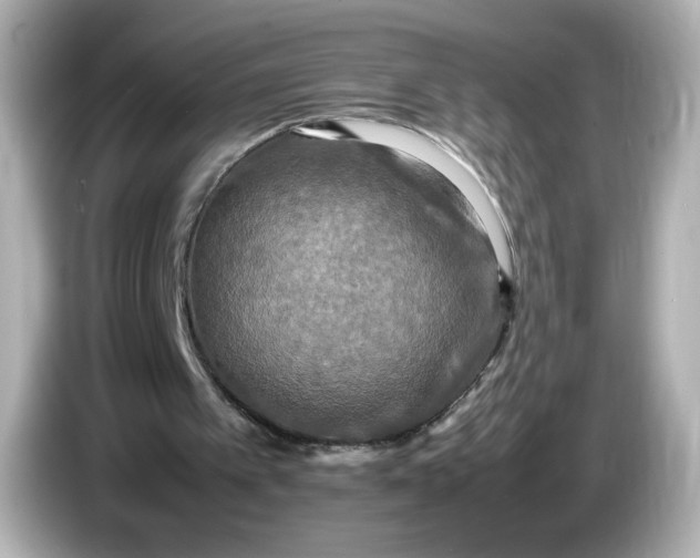 X0000086010097200704091103