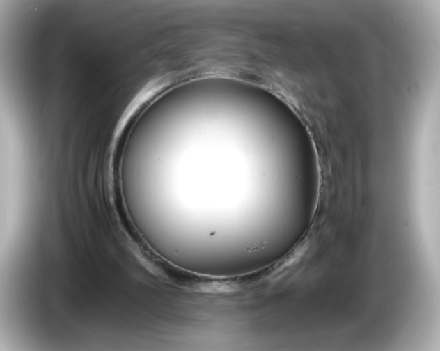 X0000086010102200704091103