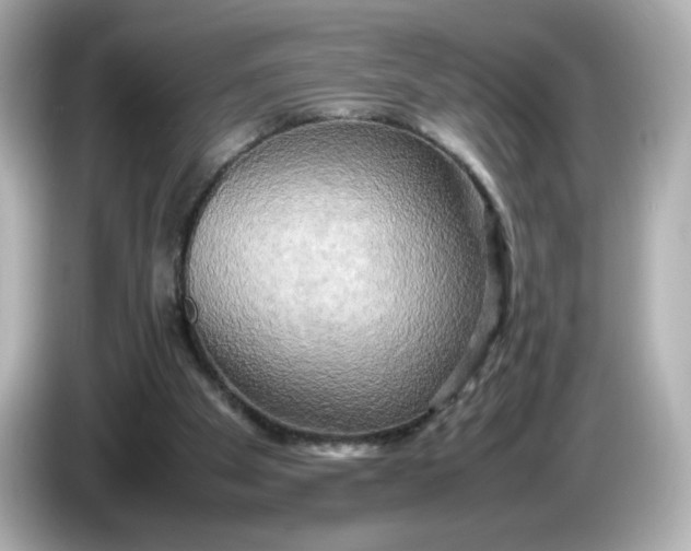 X0000086010105200704091103