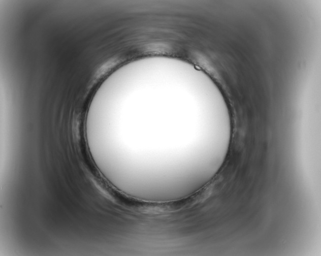 X0000086010106200704091103