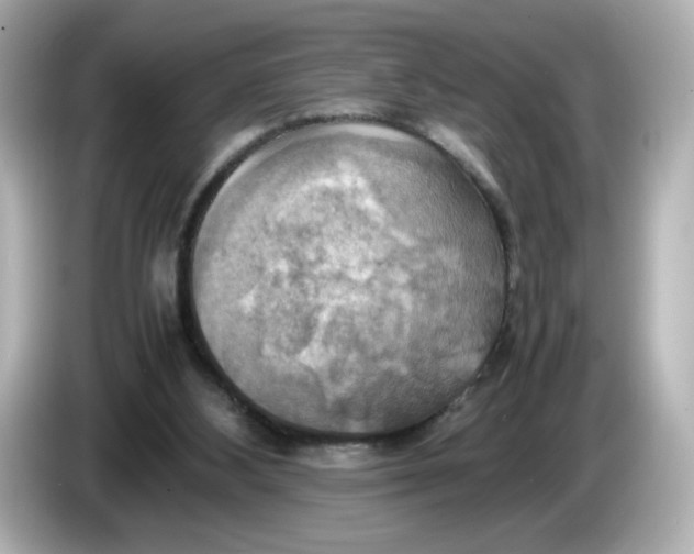 X0000086010108200704091102