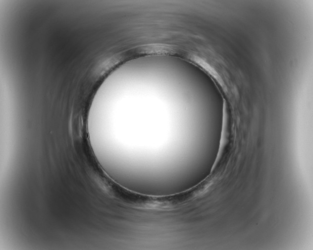 X0000086010109200704091102