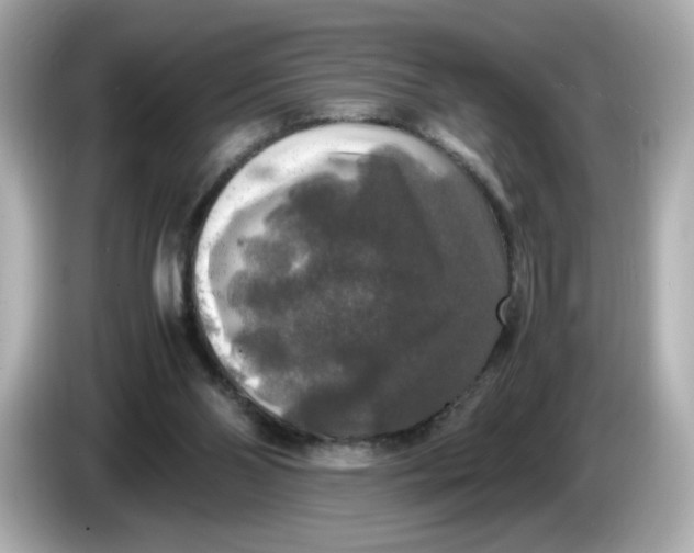 X0000086010110200704091102