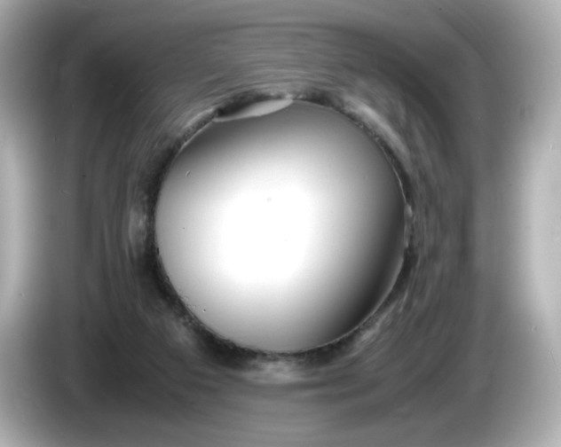 X0000086010113200704091102