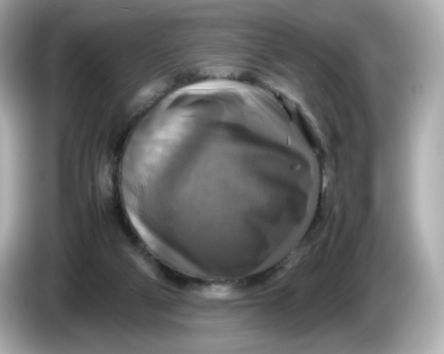X0000086010114200704091102
