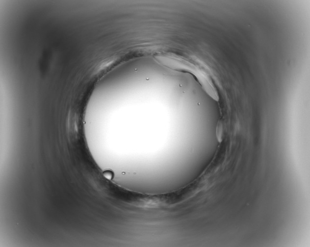 X0000086010115200704091102