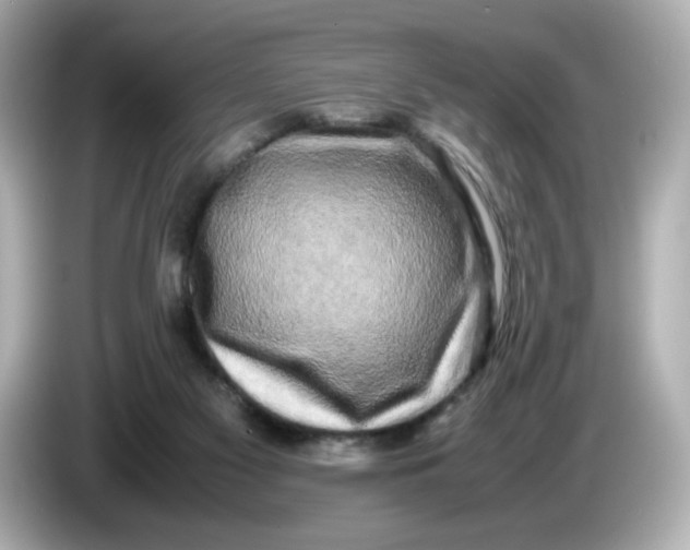 X0000086010117200704091102