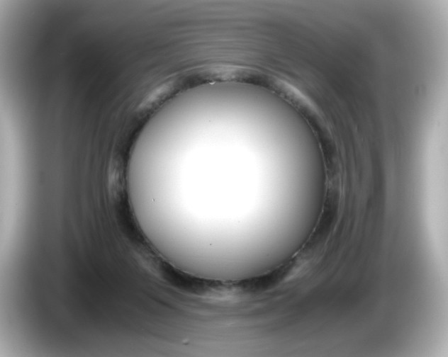 X0000086010119200704091102