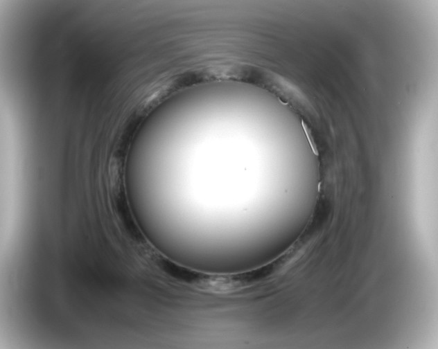 X0000086010121200704091102