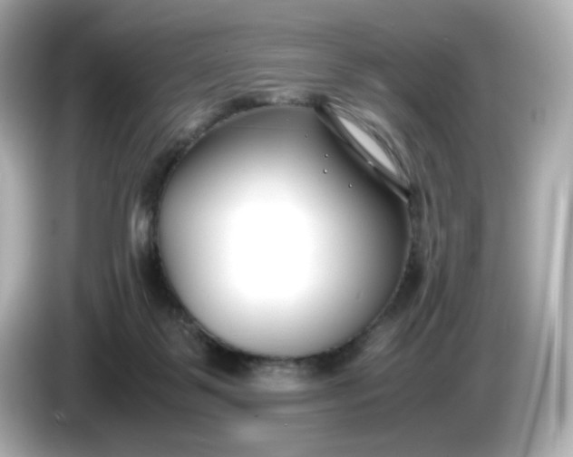 X0000086010123200704091102