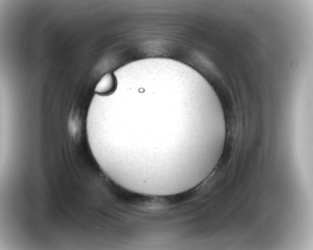 X0000086010124200704091102