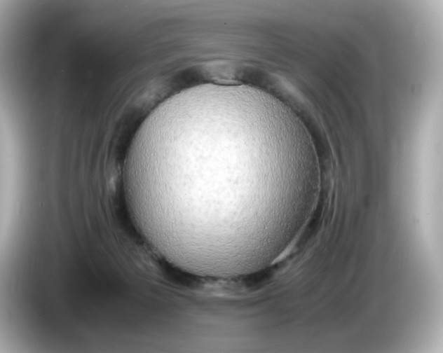 X0000086010125200704091102