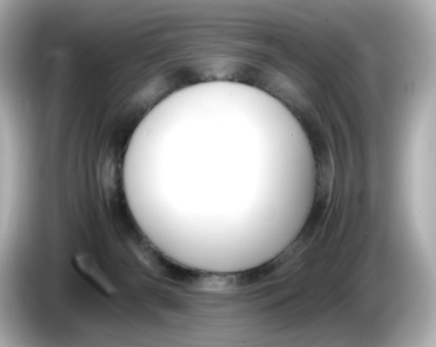X0000086010126200704091102
