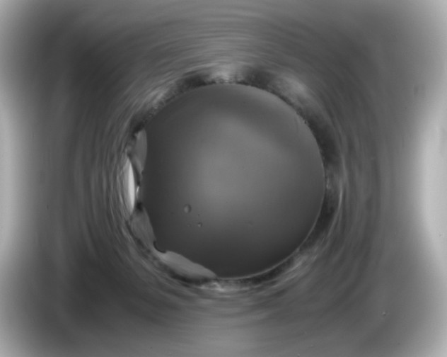 X0000086010127200704091102