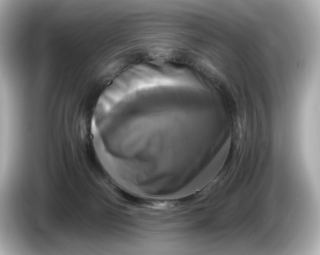 X0000086010130200704091102