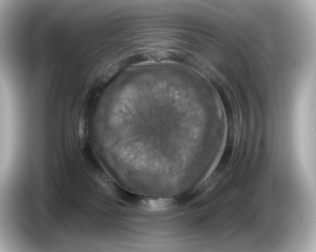 X0000086010134200704091102