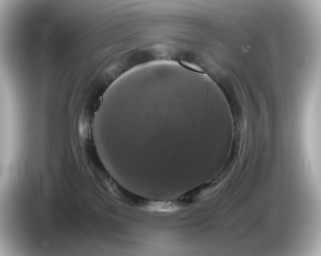 X0000086010137200704091102