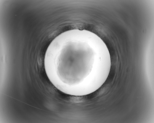 X0000086010139200704091102