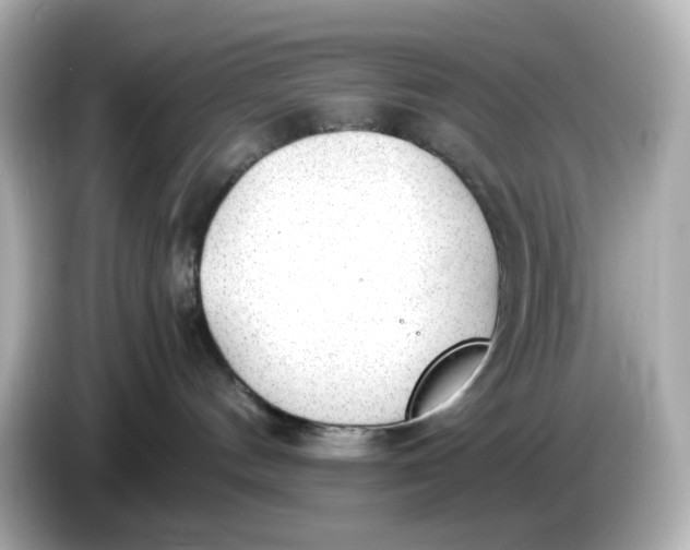 X0000086010144200704091102
