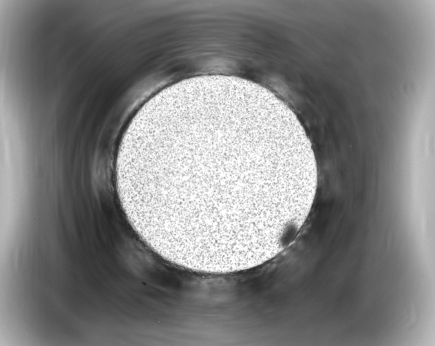 X0000086010146200704091102