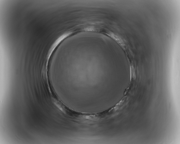 X0000086010147200704091102