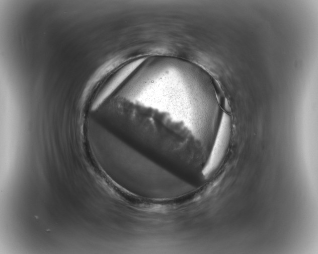 X0000086010149200704091102