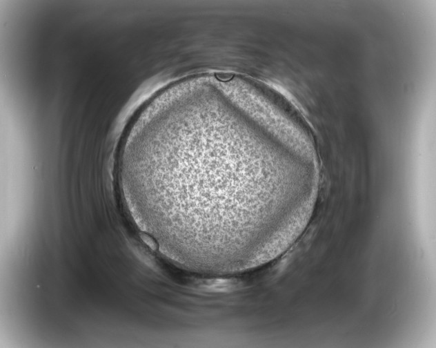 X0000086010151200704091102