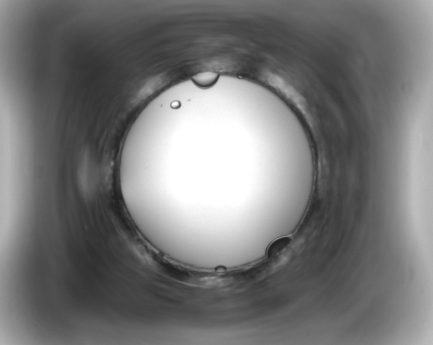 X0000086010153200704091102