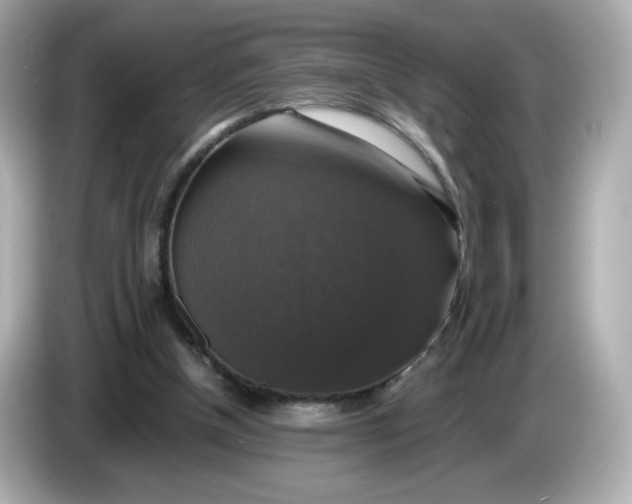 X0000086010154200704091102