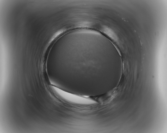 X0000086010156200704091102