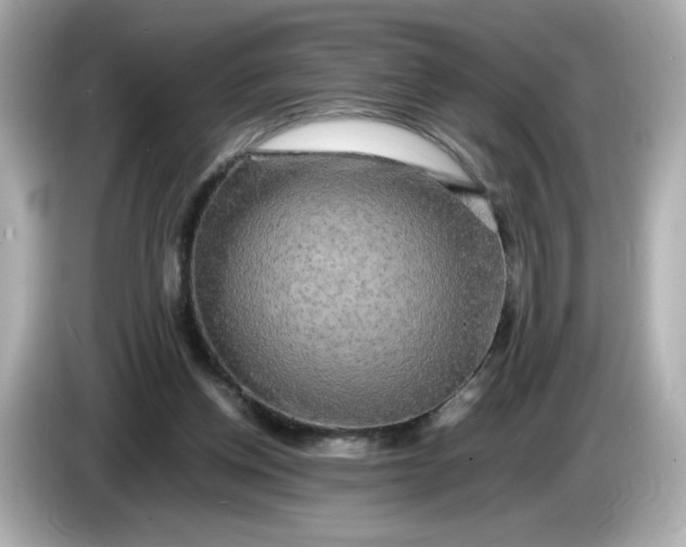 X0000086010158200704091102