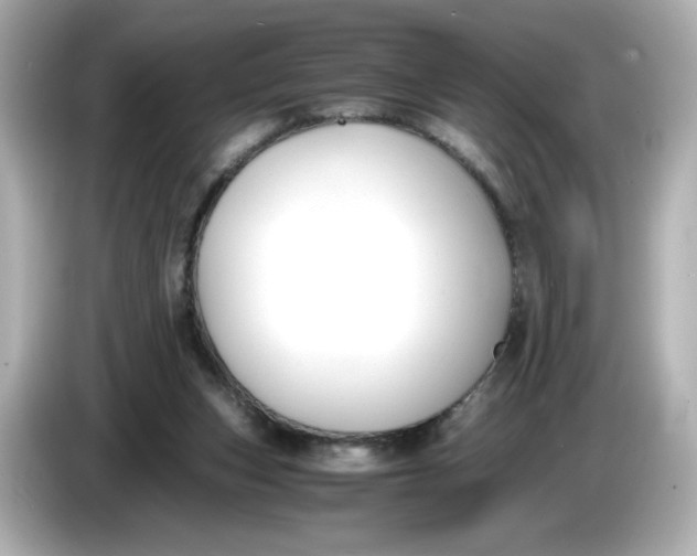 X0000086010159200704091102