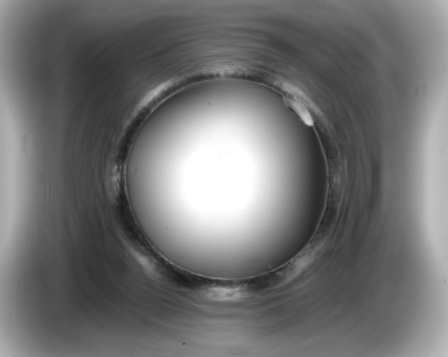 X0000086010160200704091102