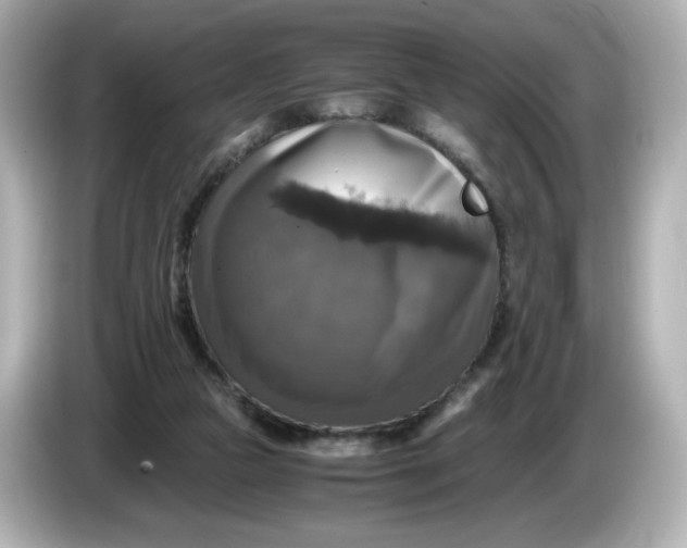 X0000086010161200704091102
