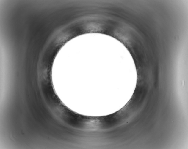 X0000086010162200704091102