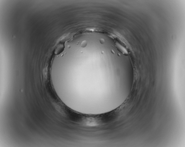X0000086010163200704091102