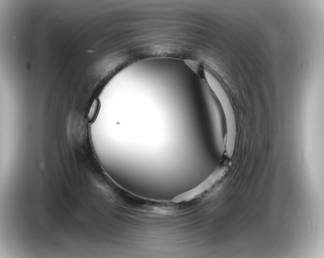 X0000086010164200704091102