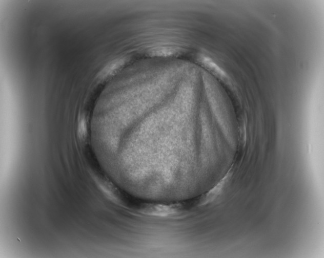 X0000086010166200704091102