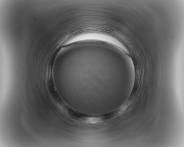 X0000086010168200704091102
