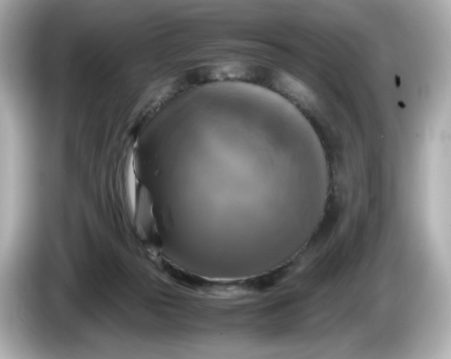 X0000086010169200704091102