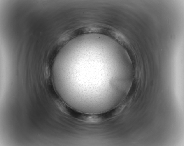 X0000086010173200704091102